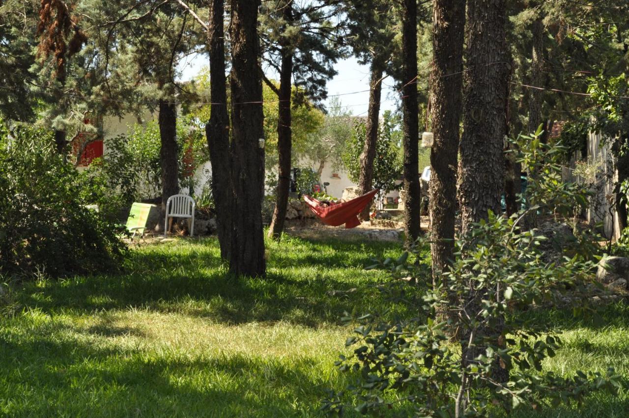 Villa Parco Alta Murgia Cassano delle Murge Eksteriør billede