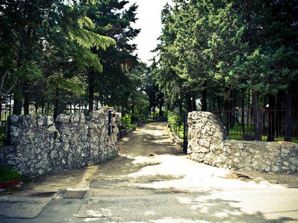 Villa Parco Alta Murgia Cassano delle Murge Værelse billede